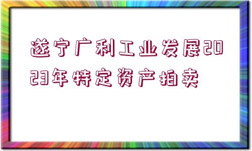 遂寧廣利工業(yè)發(fā)展2023年特定資產(chǎn)拍賣