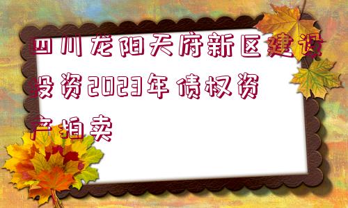 四川龍陽(yáng)天府新區(qū)建設(shè)投資2023年債權(quán)資產(chǎn)拍賣