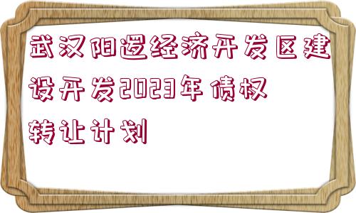 武漢陽邏經(jīng)濟(jì)開發(fā)區(qū)建設(shè)開發(fā)2023年債權(quán)轉(zhuǎn)讓計劃