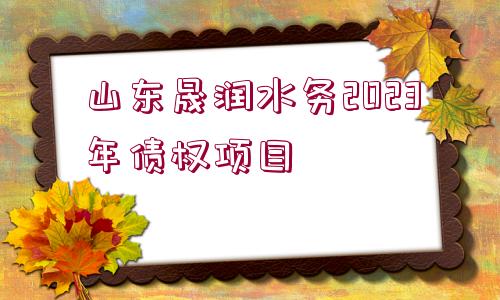 山東晟潤水務2023年債權(quán)項目