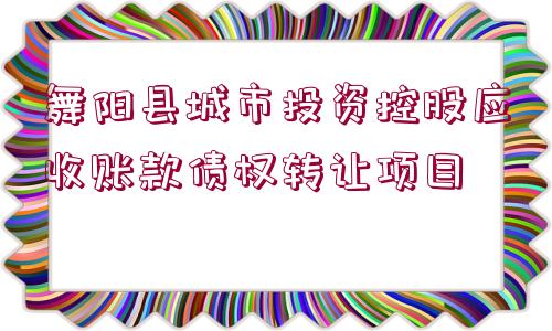 舞陽縣城市投資控股應(yīng)收賬款債權(quán)轉(zhuǎn)讓項目