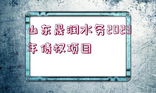 山東晟潤水務(wù)2023年債權(quán)項(xiàng)目