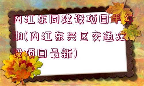 內江東同建設項目半年期(內江東興區(qū)交通建設項目最新)