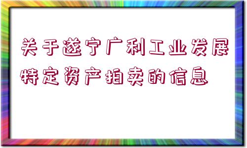 關(guān)于遂寧廣利工業(yè)發(fā)展特定資產(chǎn)拍賣(mài)的信息