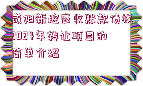 咸陽新控應收賬款債權2024年轉讓項目的簡單介紹