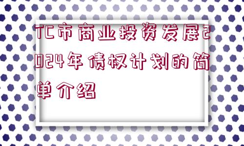 TC市商業(yè)投資發(fā)展2024年債權(quán)計(jì)劃的簡(jiǎn)單介紹