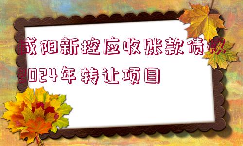 咸陽(yáng)新控應(yīng)收賬款債權(quán)2024年轉(zhuǎn)讓項(xiàng)目