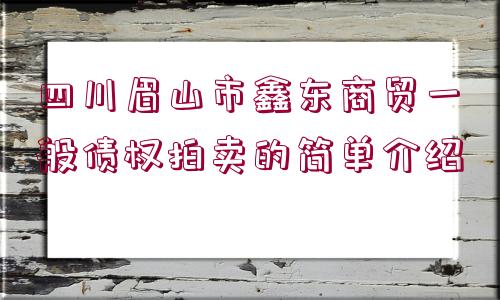 四川眉山市鑫東商貿一般債權拍賣的簡單介紹