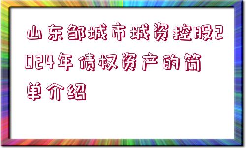 山東鄒城市城資控股2024年債權(quán)資產(chǎn)的簡(jiǎn)單介紹