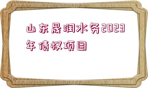 山東晟潤(rùn)水務(wù)2023年債權(quán)項(xiàng)目