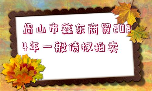 眉山市鑫東商貿2024年一般債權拍賣