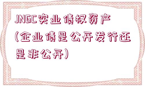 JNGC實(shí)業(yè)債權(quán)資產(chǎn)(企業(yè)債是公開發(fā)行還是非公開)