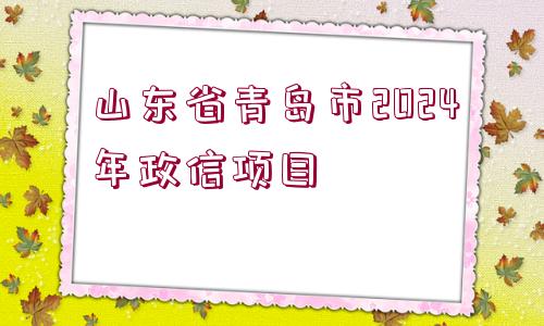 山東省青島市2024年政信項目