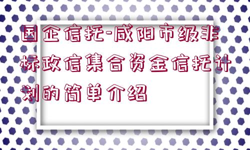 國企信托-咸陽市級非標(biāo)政信集合資金信托計(jì)劃的簡單介紹