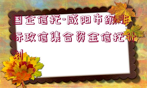 國企信托-咸陽市級非標政信集合資金信托計劃