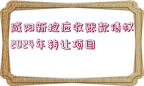 咸陽新控應(yīng)收賬款債權(quán)2024年轉(zhuǎn)讓項目