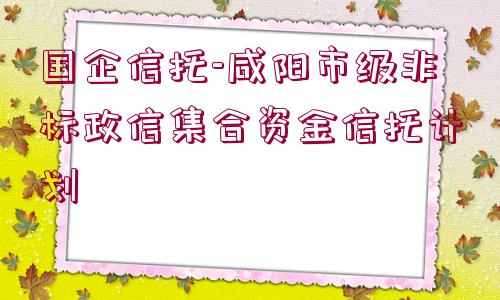 國(guó)企信托-咸陽(yáng)市級(jí)非標(biāo)政信集合資金信托計(jì)劃