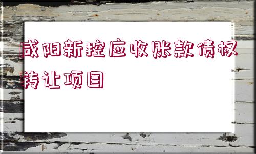 咸陽新控應(yīng)收賬款債權(quán)轉(zhuǎn)讓項目