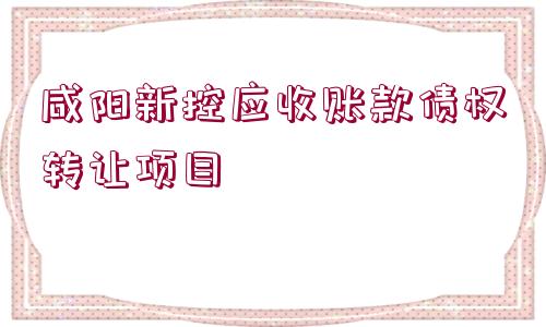 咸陽(yáng)新控應(yīng)收賬款債權(quán)轉(zhuǎn)讓項(xiàng)目