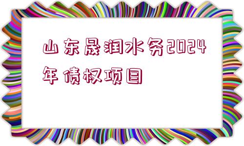 山東晟潤(rùn)水務(wù)2024年債權(quán)項(xiàng)目