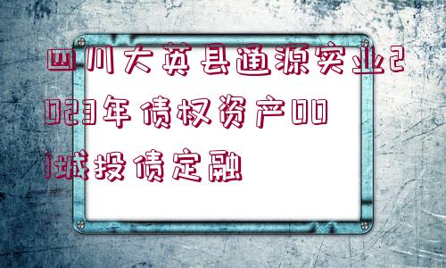 四川大英縣通源實業(yè)2023年債權(quán)資產(chǎn)001城投債定融