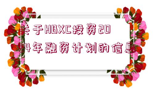 關(guān)于HBXC投資2024年融資計(jì)劃的信息