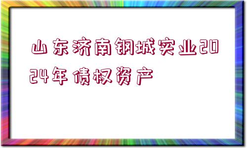 山東濟(jì)南鋼城實(shí)業(yè)2024年債權(quán)資產(chǎn)