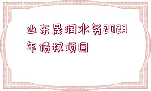 山東晟潤水務(wù)2023年債權(quán)項目