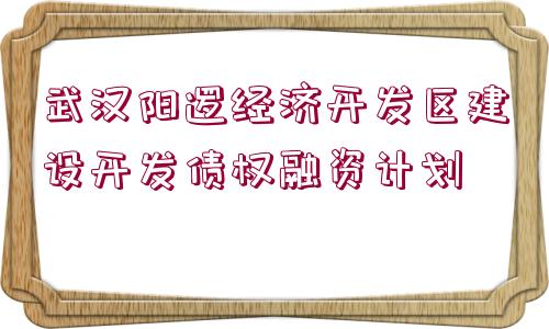 武漢陽邏經(jīng)濟(jì)開發(fā)區(qū)建設(shè)開發(fā)債權(quán)融資計(jì)劃