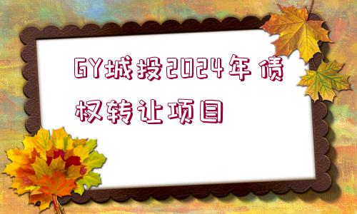 GY城投2024年債權(quán)轉(zhuǎn)讓項目