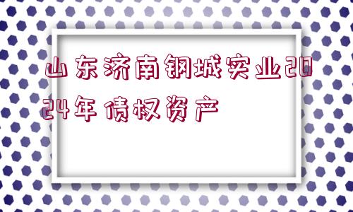 山東濟南鋼城實業(yè)2024年債權資產(chǎn)