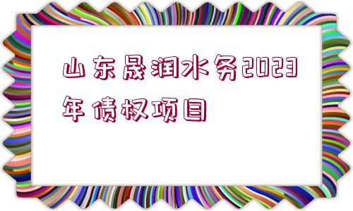 山東晟潤水務2023年債權項目