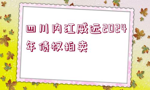 四川內(nèi)江威遠(yuǎn)2024年債權(quán)拍賣