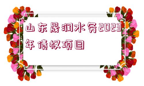 山東晟潤水務2023年債權項目