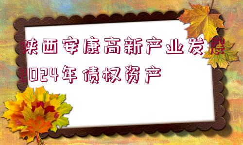 陜西安康高新產(chǎn)業(yè)發(fā)展2024年債權資產(chǎn)