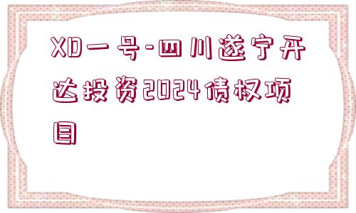 XD一號(hào)-四川遂寧開達(dá)投資2024債權(quán)項(xiàng)目