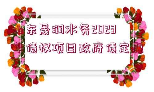 山東晟潤水務2023年債權(quán)項目政府債定融