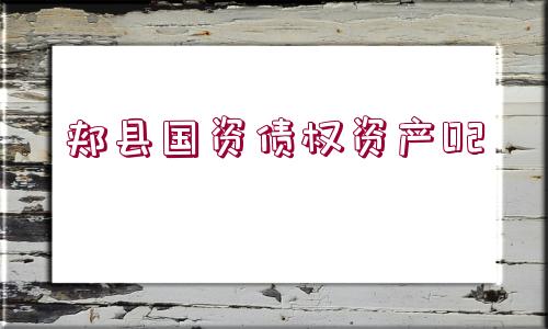 郟縣國資債權(quán)資產(chǎn)02