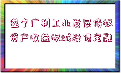 遂寧廣利工業(yè)發(fā)展債權(quán)資產(chǎn)收益權(quán)城投債定融