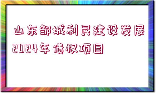 山東鄒城利民建設發(fā)展2024年債權項目