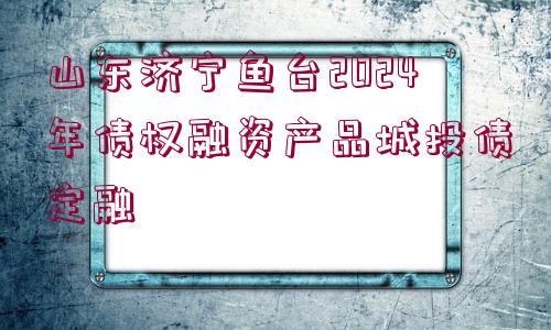 山東濟寧魚臺2024年債權融資產品城投債定融