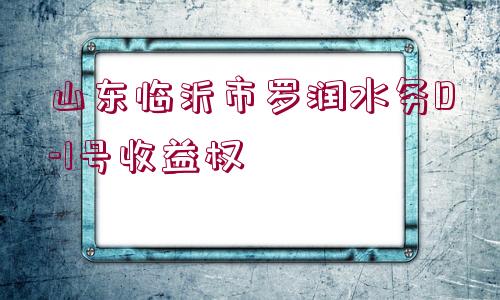 山東臨沂市羅潤水務(wù)D-1號收益權(quán)