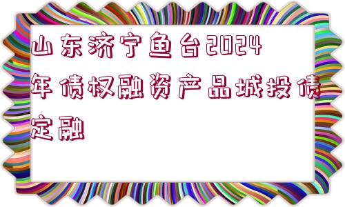 山東濟(jì)寧魚臺(tái)2024年債權(quán)融資產(chǎn)品城投債定融