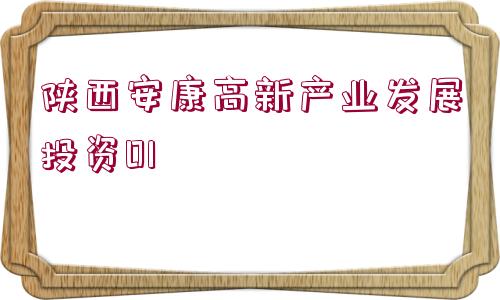 陜西安康高新產(chǎn)業(yè)發(fā)展投資01