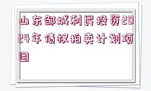 山東鄒城利民投資2024年債權(quán)拍賣(mài)計(jì)劃項(xiàng)目