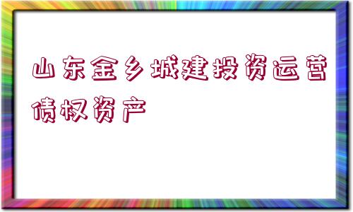 山東金鄉(xiāng)城建投資運(yùn)營債權(quán)資產(chǎn)