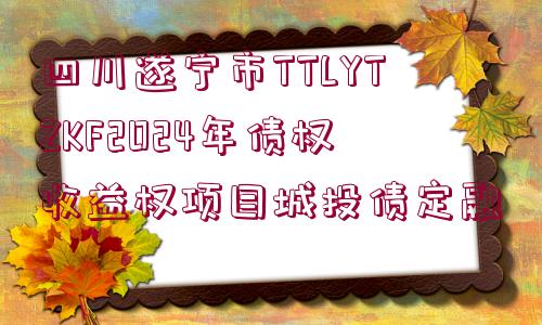 四川遂寧市TTLYTZKF2024年債權(quán)收益權(quán)項目城投債定融