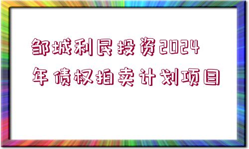 鄒城利民投資2024年債權(quán)拍賣(mài)計(jì)劃項(xiàng)目