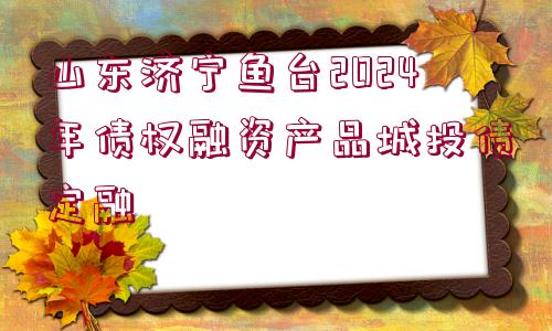 山東濟(jì)寧魚臺(tái)2024年債權(quán)融資產(chǎn)品城投債定融