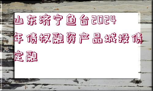 山東濟寧魚臺2024年債權融資產(chǎn)品城投債定融